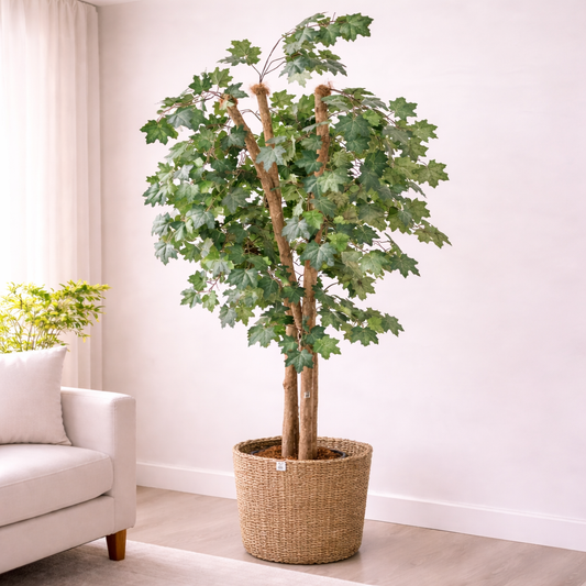 Arce verde artificial